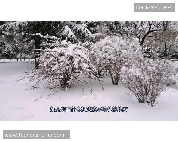 成都乒乓球队防反战术深度解析与热点动态解读