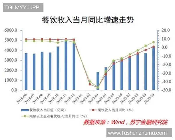 南京羽毛球队与成都羽毛球队赛后复盘分析比赛节奏与战术对比
