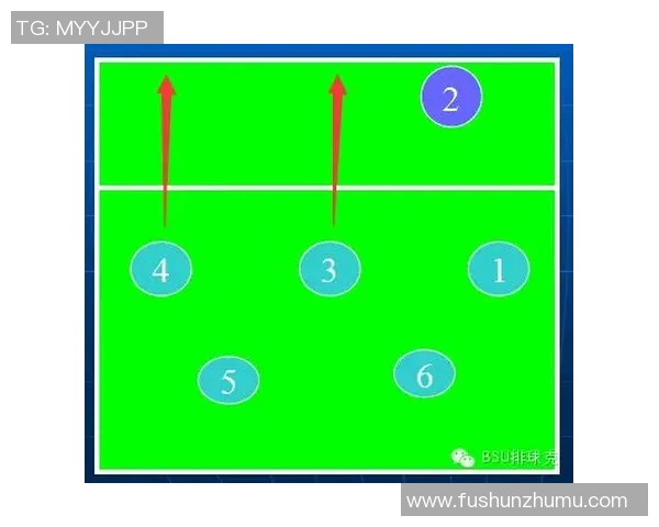 成都排球队战术解析与对比深度剖析球队优势与不足之处