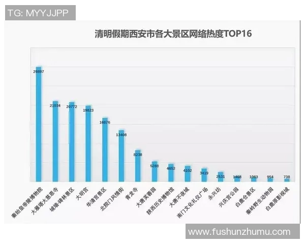 西安排球队个人能力分析与数据表现探讨