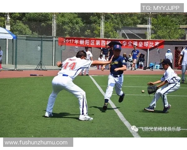 上海羽毛球队挑战赛特别报道：从艰辛到辉煌的奋斗历程与突破之路