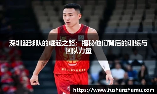 深圳篮球队的崛起之路：揭秘他们背后的训练与团队力量