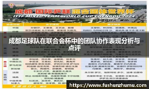 成都足球队在联合会杯中的团队协作表现分析与点评