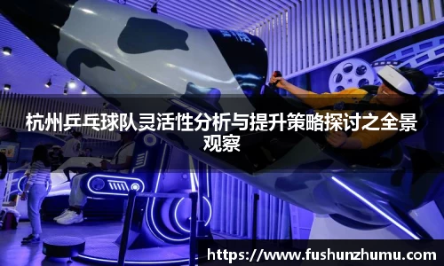 杭州乒乓球队灵活性分析与提升策略探讨之全景观察