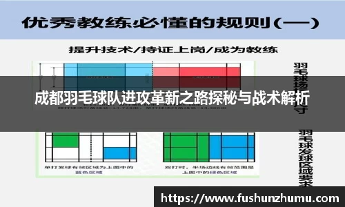 成都羽毛球队进攻革新之路探秘与战术解析
