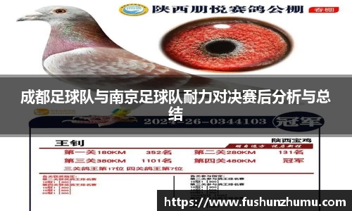 成都足球队与南京足球队耐力对决赛后分析与总结